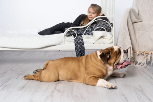 In the girl's bedroom there is an English bulldog next to her bed and the child is lying on the bed and accosts the dog. A breed with a brown coat with white patches.