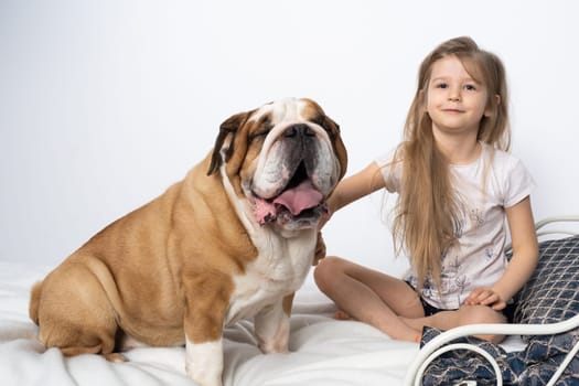 Two friends, a girl and a dog, are sitting together on the bed. The girl is petting the dog. A breed with a brown coat with white patches.