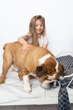 Two friends, a girl and a dog, are sitting together on the bed. The girl is petting the dog. A breed with a brown coat with white patches.