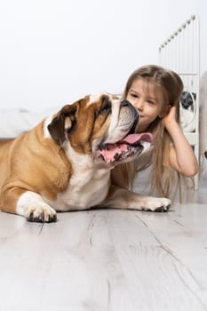 An old and fat dog and a tiny and young girl sit on the floor by the bed in the bedroom. A breed with a brown coat with white patches.