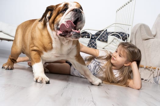 An old and fat dog and a tiny and young girl sit on the floor by the bed in the bedroom. A breed with a brown coat with white patches.