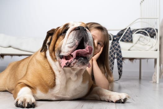 In love, pis and the girl lie down together on the laminate floor and think about the blue almonds. A breed with a brown coat with white patches.