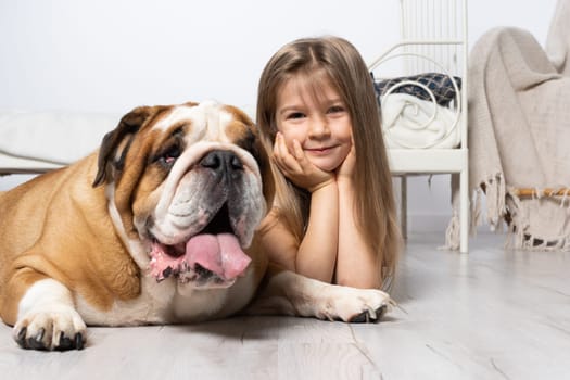 In love, pis and the girl lie down together on the laminate floor and think about the blue almonds. A breed with a brown coat with white patches.