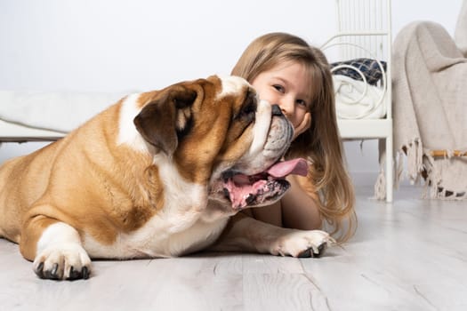 An old and fat dog and a tiny and young girl sit on the floor by the bed in the bedroom. A breed with a brown coat with white patches.