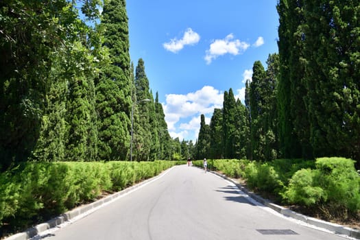 Foros. Crimea - June 30. 2019. landscape park founded in 19th century