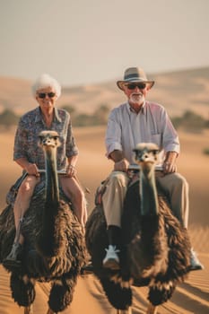 An elderly couple of people ride ostriches in the desert.