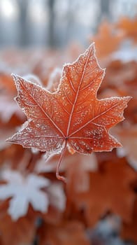 Frost-covered leaves on a brisk winter morning, symbolizing the beauty of the cold season.