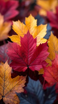 Close-up of colorful autumn foliage, capturing the essence of the season.