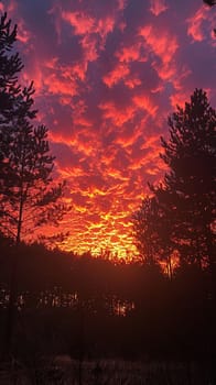 The fiery glow of a sunset behind a silhouette of trees, capturing the end of a day.