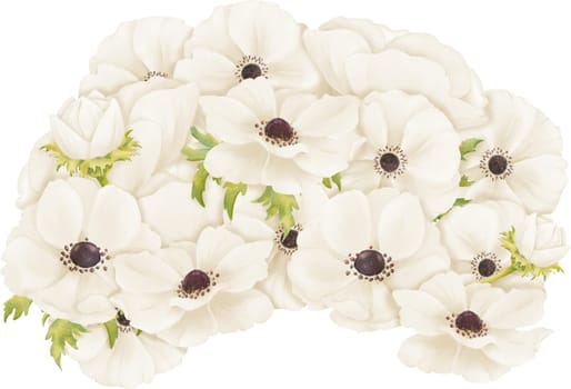 illustration featuring white anemones arranged in a composition. This artwork is for use in greeting card designs, web design, advertising.