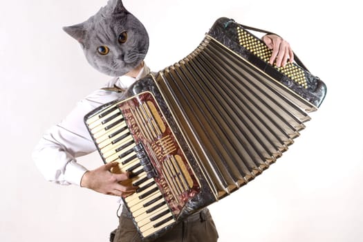 Collage of a man and with a cat head emotionally playing the accordion.