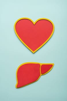 Top view of red heart and liver mock up on blue background.