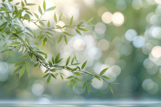 A branch adorned with lush green leaves sways gently in the breeze, casting dappled sunlight onto the forest floor.