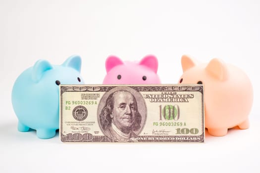 Three pig piggy bank on american dollar on white background.