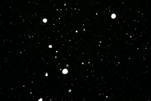 Falling Snow down On The Black Background.