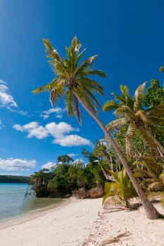 Tropical Paradise Polynesian Beach Ocean Sea Crystal Water Clear Sand