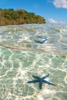 Turquoise Tropical Polynesian Paradise Beach Ocean Sea Crystal Water Clear sea star down under