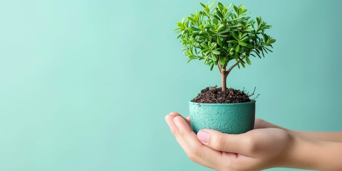 Hand holding small potted plant with vibrant green leaves. Concept of nature, growth, and eco friendly living.