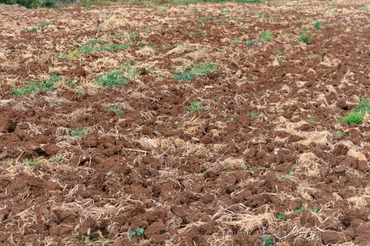 Empty muddy field of red soil