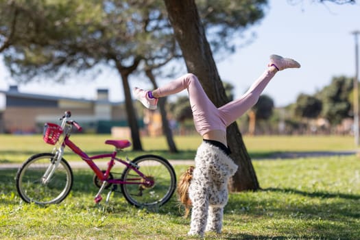 A girl is doing a handstand in the grass next to a bicycle. The scene is peaceful and relaxing, with the girl enjoying her time outdoors