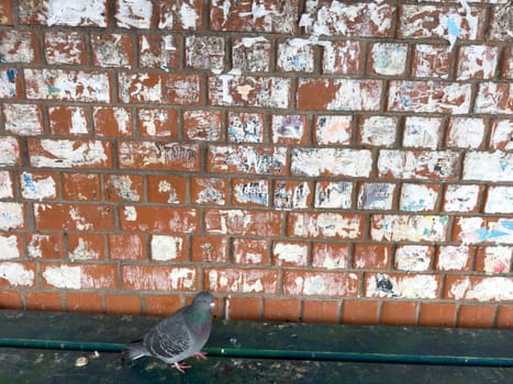 texture of an old red brick wall