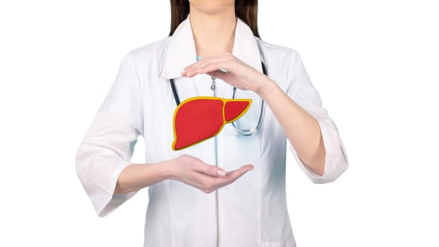 Image of a doctor in a white coat and liver above his hands. Concept of healthy liver and donation.