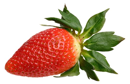 Red ripe strawberry on isolated background, close up