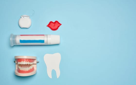 Model of a human jaw with white teeth, dental floss and toothpaste on a blue background, top view. Copy space