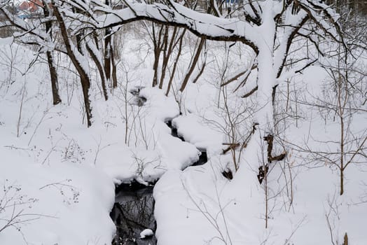 winter stream flowing between snowy trees