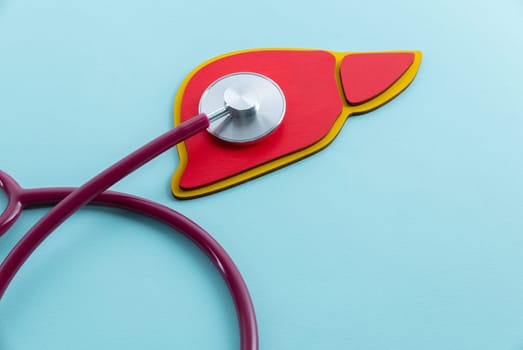Red liver and stethoscope lies on a blue background