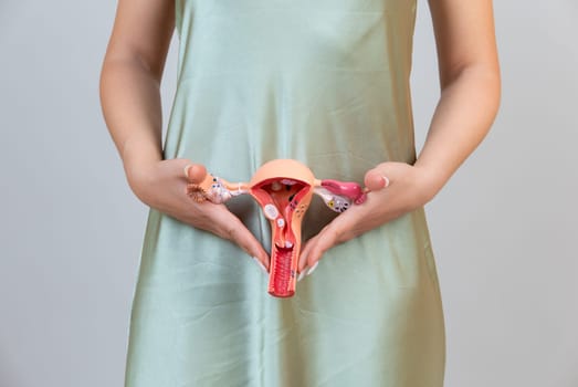 Asain woman holds model of female reproductive system in the hands. Help and care concept