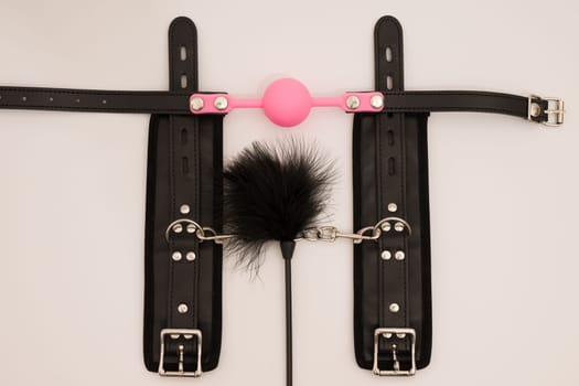 Leather Handcuffs, Feathered and ball gag fetish equipment