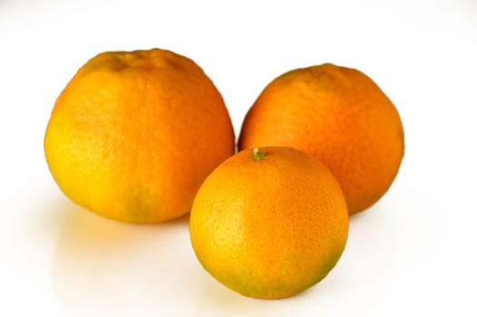 Closeup three orange fruits isolated on white background with shadow.