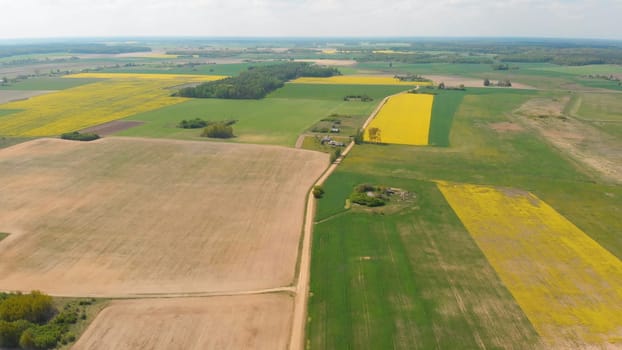 Aerial view of the fields of Belarus in May with rapeseed fields