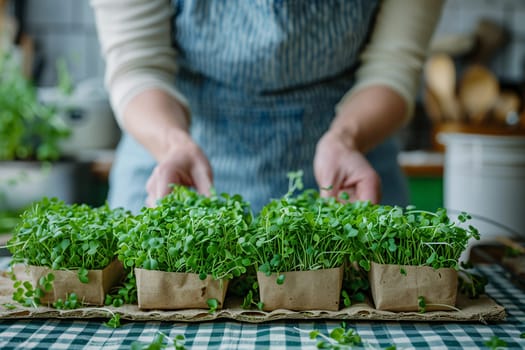 A person is in a kitchen, planting various plants in small pots. The individual carefully fills each pot with soil, places the plants, and waters them.