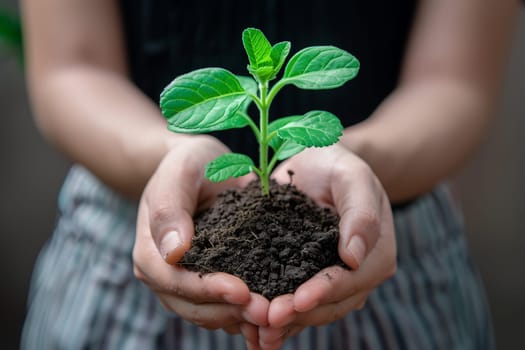 A person is holding a plant in their hands, showcasing care and connection with nature.