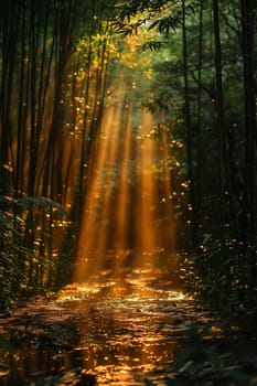 Sunlight casting shadows through a bamboo forest, representing tranquility and natural patterns.