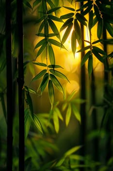 Sunlight casting shadows through a bamboo forest, representing tranquility and natural patterns.