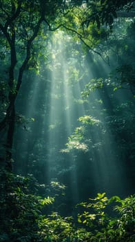 Sunlight filtering through dense forest trees, capturing a mystical and ethereal mood.