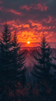 The fiery glow of a sunset behind a silhouette of trees, capturing the end of a day.