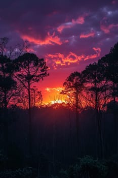 The fiery glow of a sunset behind a silhouette of trees, capturing the end of a day.