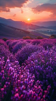 A field of lavender under a clear sky, representing calmness and natural beauty.