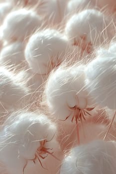 Close-up of fluffy cotton balls, suitable for soft and natural backgrounds.