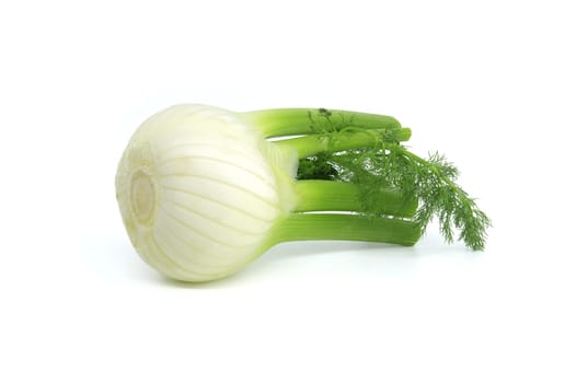 Whole fennel bulb predominantly light yellow, with contrasting shades of green on the stalks and feathery leaves isolated on white background