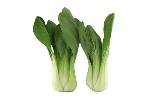 Bok choy, also known as pak choi or pok choi type of Chinese cabbage isolated on white background