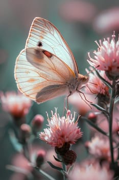 Close-up of a butterfly resting on a wildflower, symbolizing delicacy and nature's cycles.