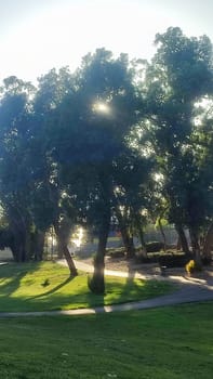 green background park, trees and grass in spring. High quality photo