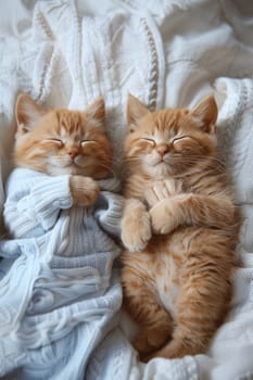 Two orange kittens are sleeping on a bed with a blue blanket. One of the kittens is wearing a blue shirt