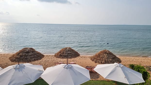 Bangsaray Pattaya Thailand 28 February 2024, A vibrant group of umbrellas stands tall on a sandy beach, creating a colorful and playful scene under the sun.