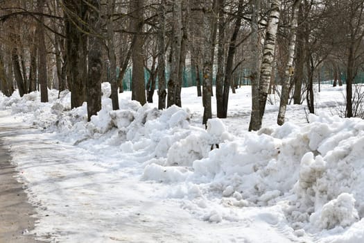 Drifts of dirty snow in park in early spring